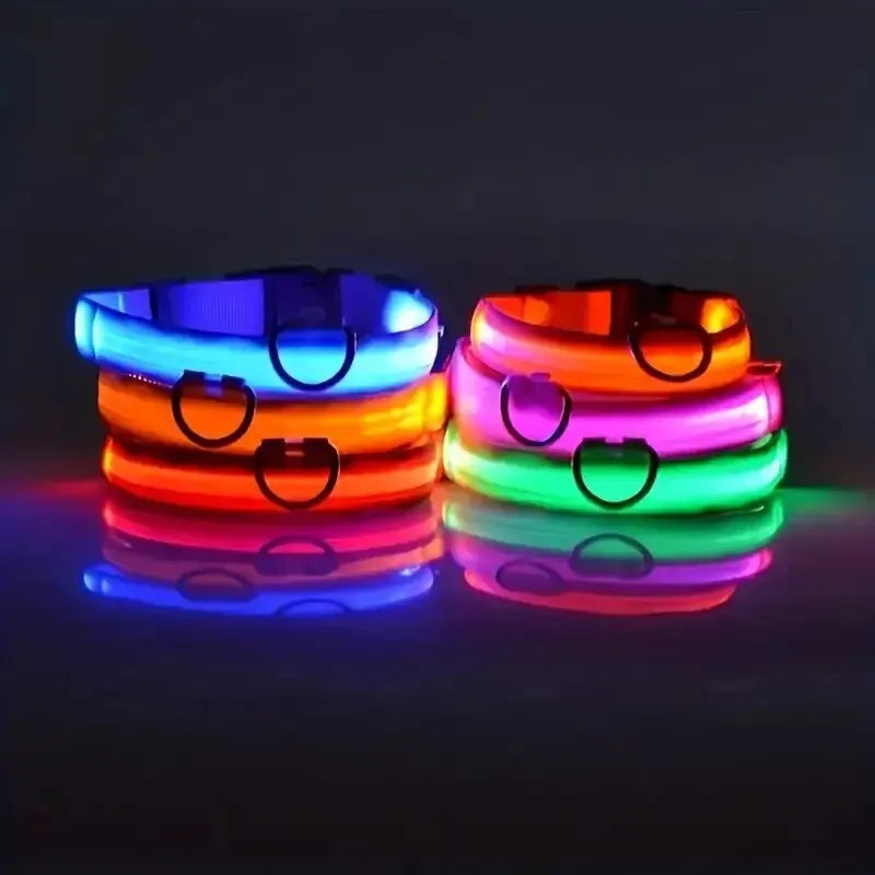 LED Glow Dog Leash