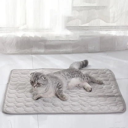 Pet Cooling Ice Mat