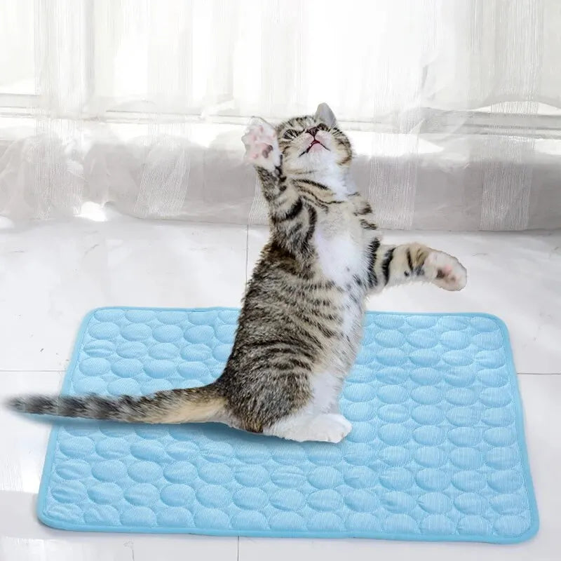 Pet Cooling Ice Mat